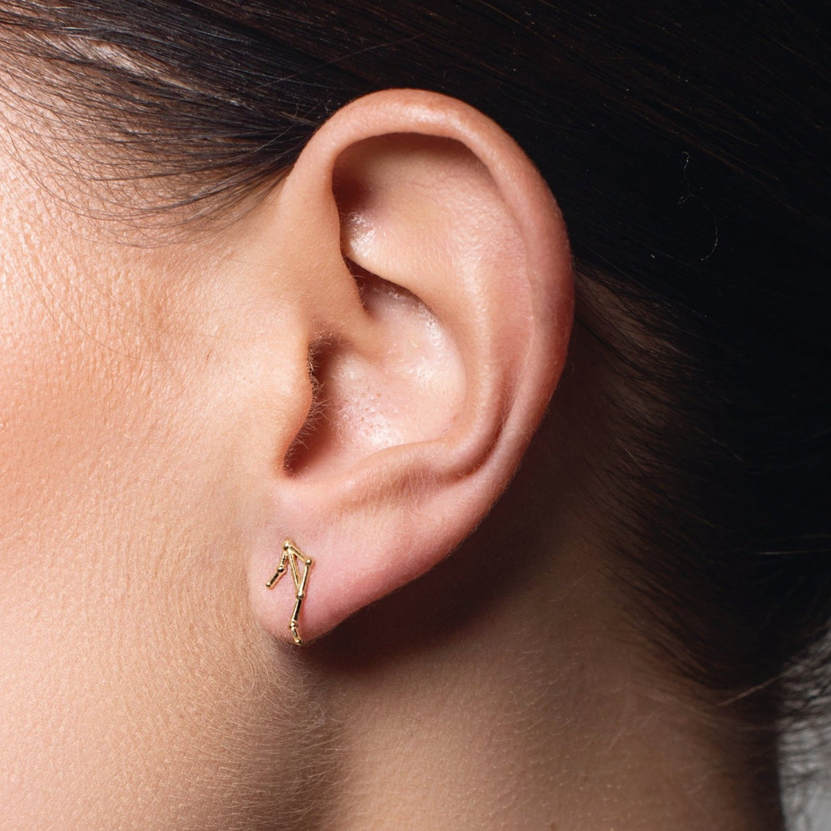 14K Gold Zodiac Stud Earring - Zoe Lev Jewelry